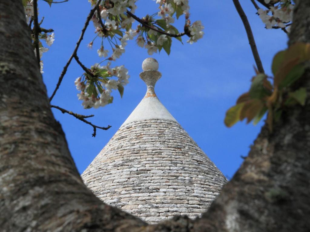 Pietraluce Alberobello Exterior foto